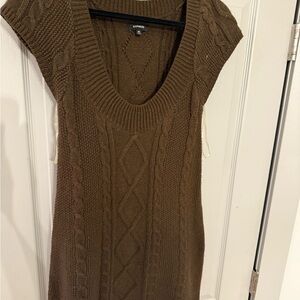 Express V-Neck Brown Sweater Dress